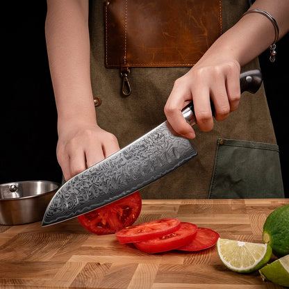 Premium Damast Santoku Ebenholz Damastshop.de - Damastshop